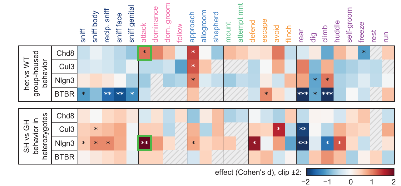 Heatmaps of Cohen's d effect sizes for genotype and housing effects on time spent in each behavior across four autism-associated mouse lines.