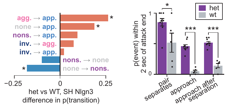 Behavior transition differences in Nlgn3 heterozygotes and the probability of separation and re-engagement after an attack.