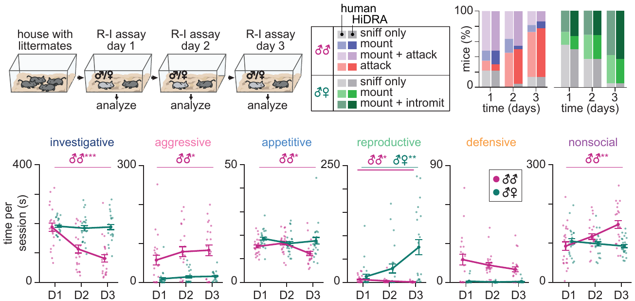 Multi-day resident-intruder experiment design, comparison of HiDRA and human scoring, and time per session in six behavior categories over three days.