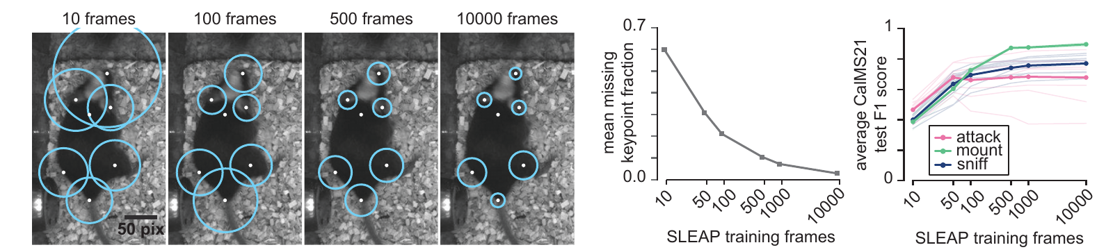 Pose estimates from SLEAP models trained on 10 to 10000 frames, fraction of missing keypoints, and HiDRA F1 score as a function of pose training set size.